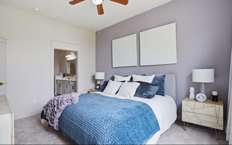 Apartment Features